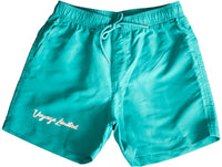 Voyage Limited Swim Shorts (Felt/3M)