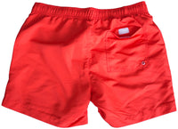 Voyage Limited Swim Shorts (Felt/3M)