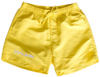 Voyage Limited Swim Shorts (Felt/3M)